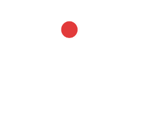 zsp2.png