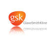 gsk2.png