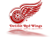 Detroit Red Wings Logos 2.png