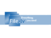 file.lv_logo.png