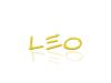 leo.org.png